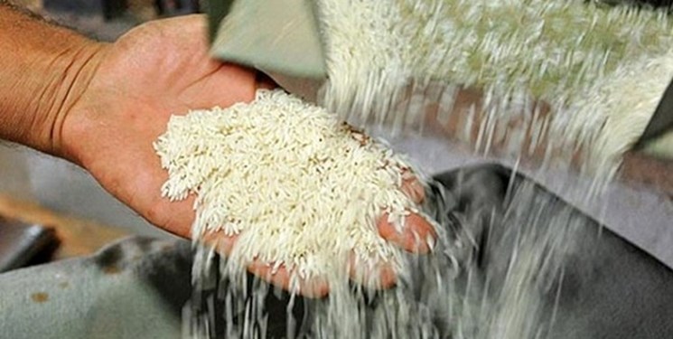 واردات ۷۱۵ هزارتن برنج در ۶ ماهه نخست امسال